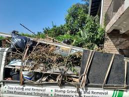 Best Retail Junk Removal  in Ponderosa Park, CO