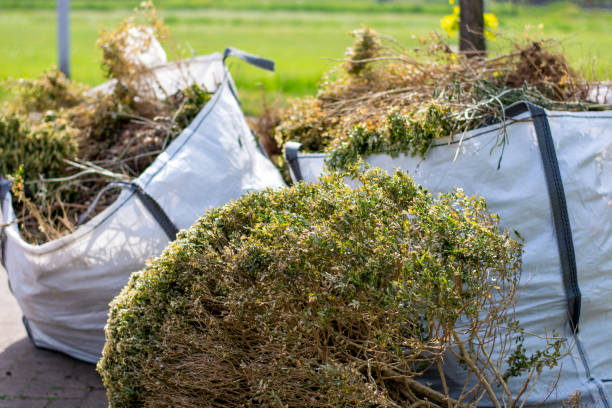 Best Electronics and E-Waste Disposal  in Ponderosa Park, CO